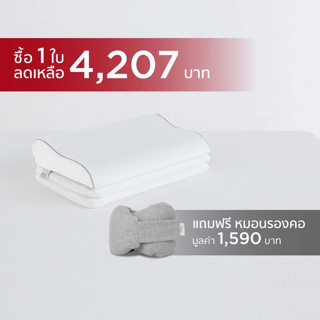 โปรโมชั่นหมอน Orthocurve