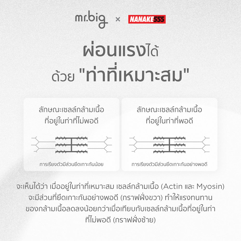 หมอนเสยช่วยผ่อนแรงขณะมีกิจกรรมบนเตียง